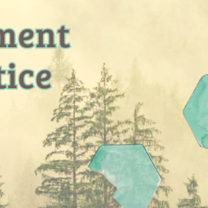Words "meeting the moment with love & justice" over a background of trees and hexagon shapes
