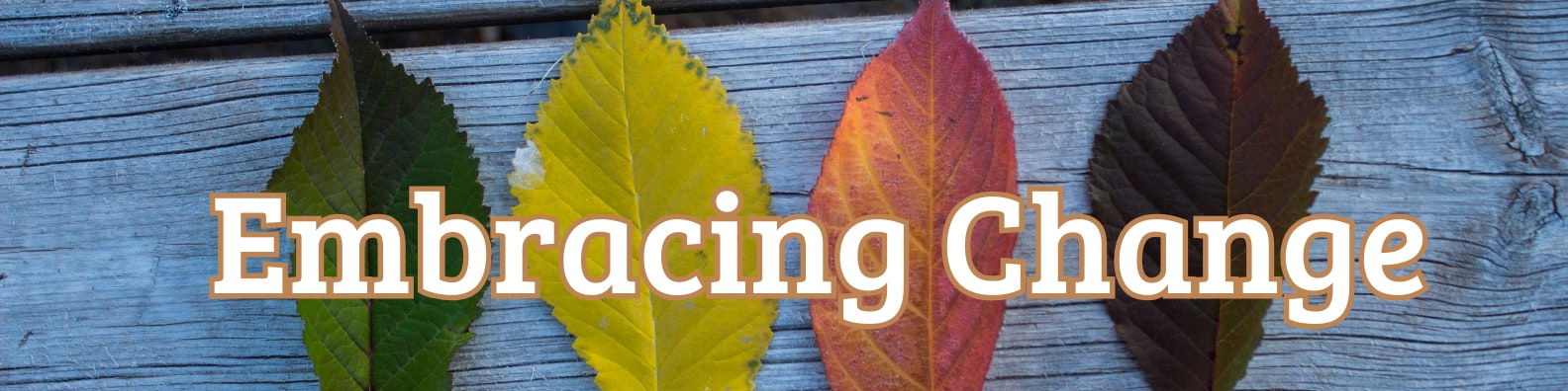 "Embracing Change" superimposed on a background picture of leaves of different colours